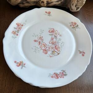 5 ARCOPAL France ARC Dinner PLATE 10" Florentine Scalloped Edge cherry blossom